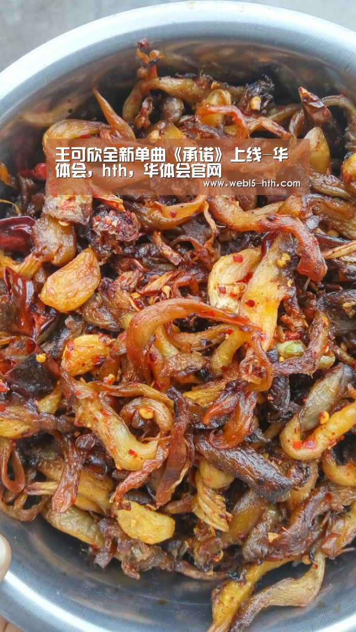 华体会，hth，华体会官网