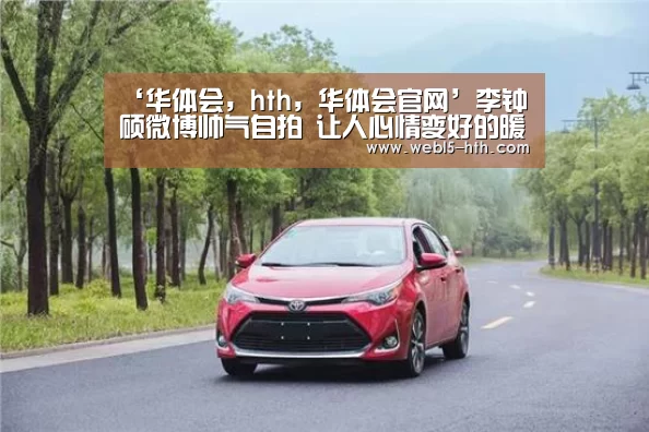 华体会，hth，华体会官网
