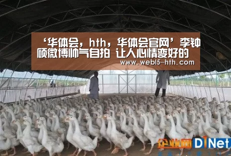 华体会，hth，华体会官网