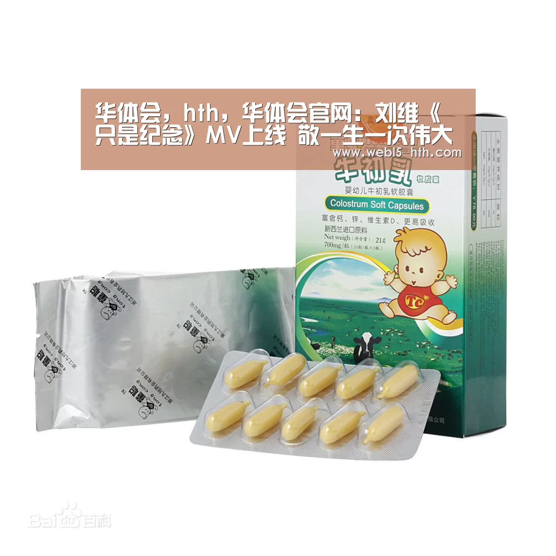 华体会，hth，华体会官网
