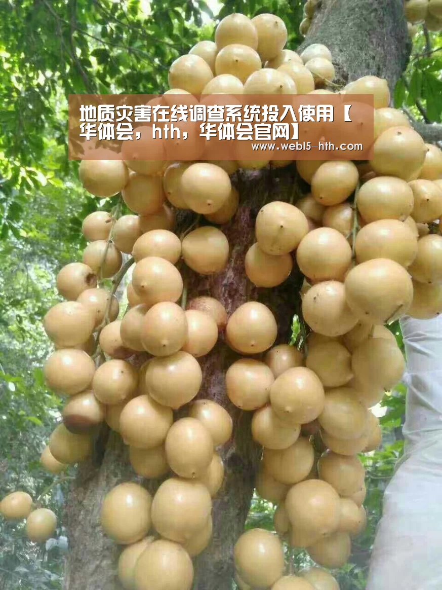 地质灾害在线调查系统投入使用【华体会,hth,华体会官网】(图1) 华体会,hth,华体会官网