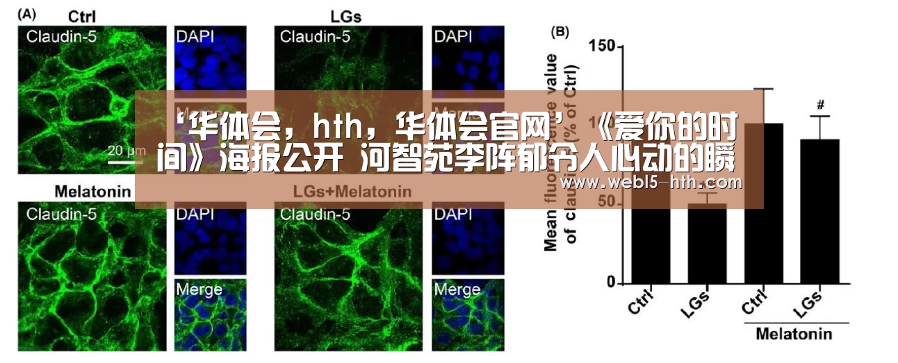 华体会，hth，华体会官网