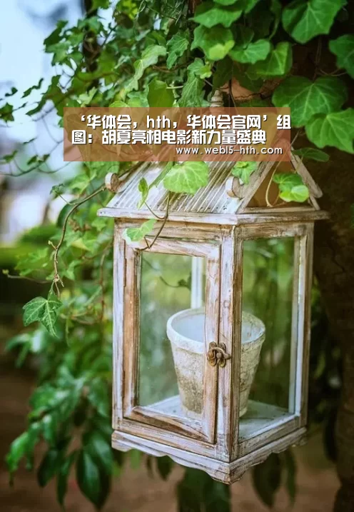 华体会，hth，华体会官网